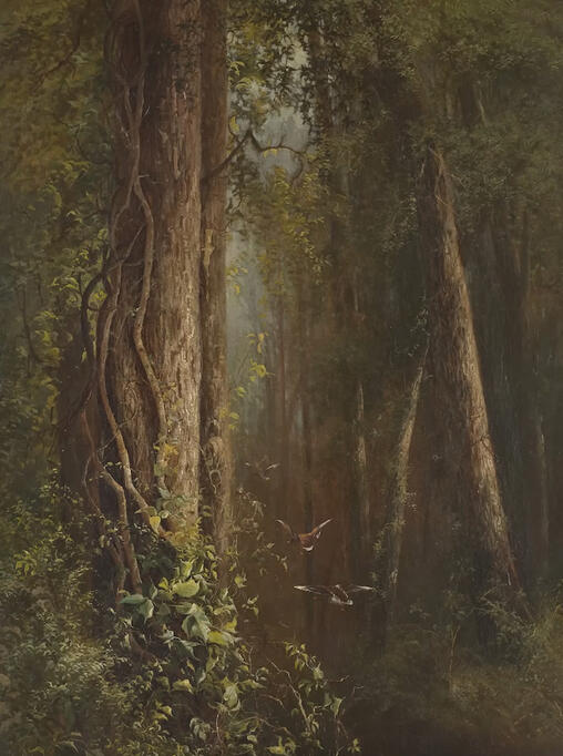 A Closer Look at Duck in the Woods